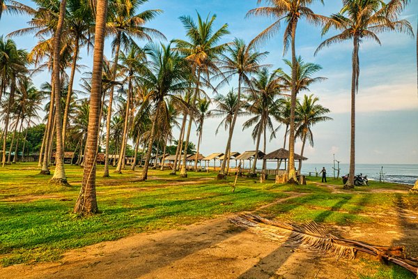 Quels sont les meilleurs itinéraires de croisière pour découvrir les sites de la Première Guerre mondiale en Europe?