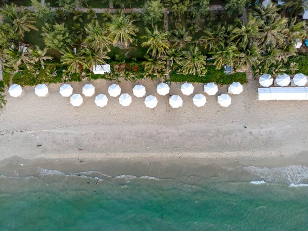 Peut-on trouver une croisière qui propose des excursions pour observer les dauphins roses en Amazonie?