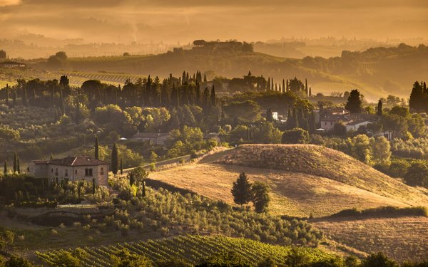 Comment trouver une location de vacances en Toscane avec des visites de vignobles et des ateliers de dégustation de vins ?